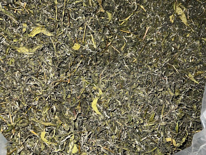 Traditional Green Tea